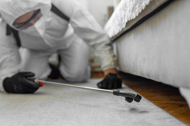 Professional Bed Bug Control technician working in Kemper County County, MS